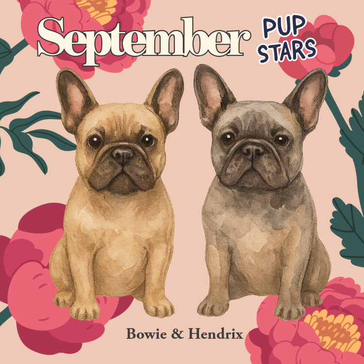 September 2025 Events