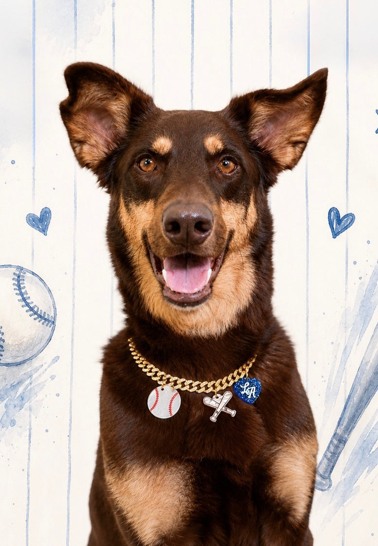 Limited Edition Diamond Gold Chains with Pleione Creative Baseball Tags
