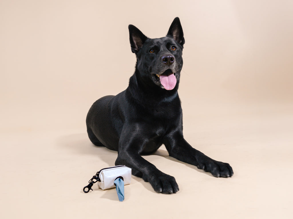 The Airbag Dispenser - Upcycled Airbag Poop Bag Dispenser