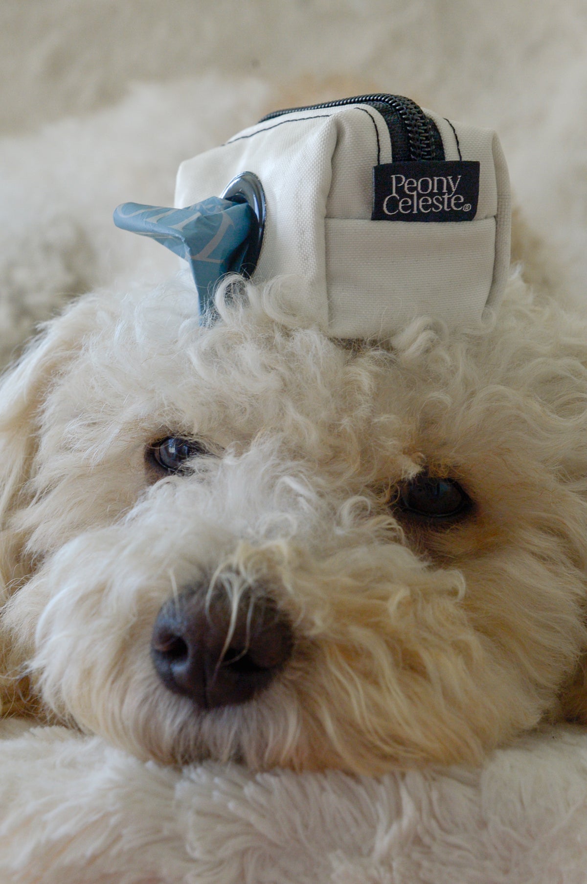 Upcycled Airbag Poop Bag Dispenser