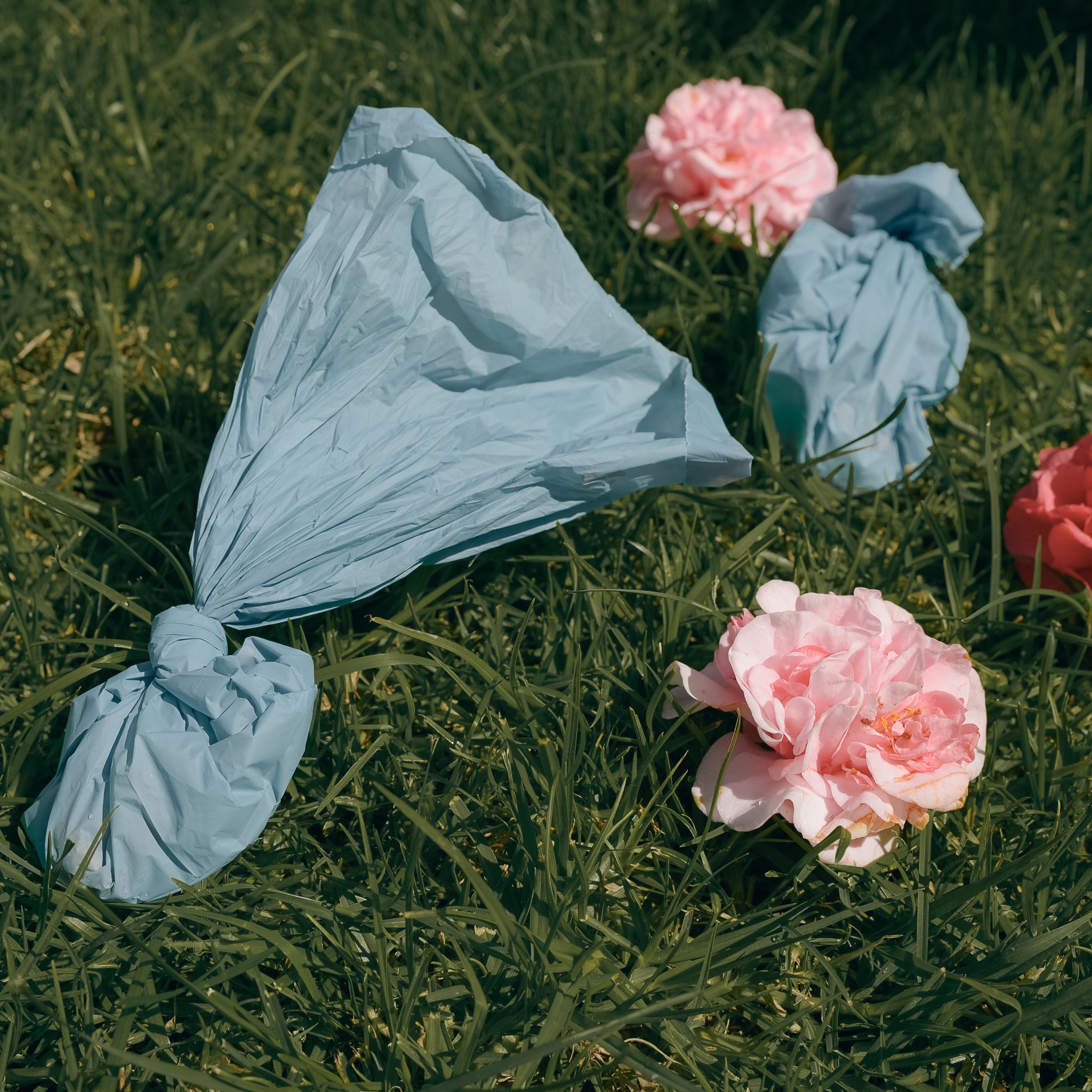 Poop Bags in Bulk - Peony Celeste Poop Bags 750 Bags - 50 Rolls