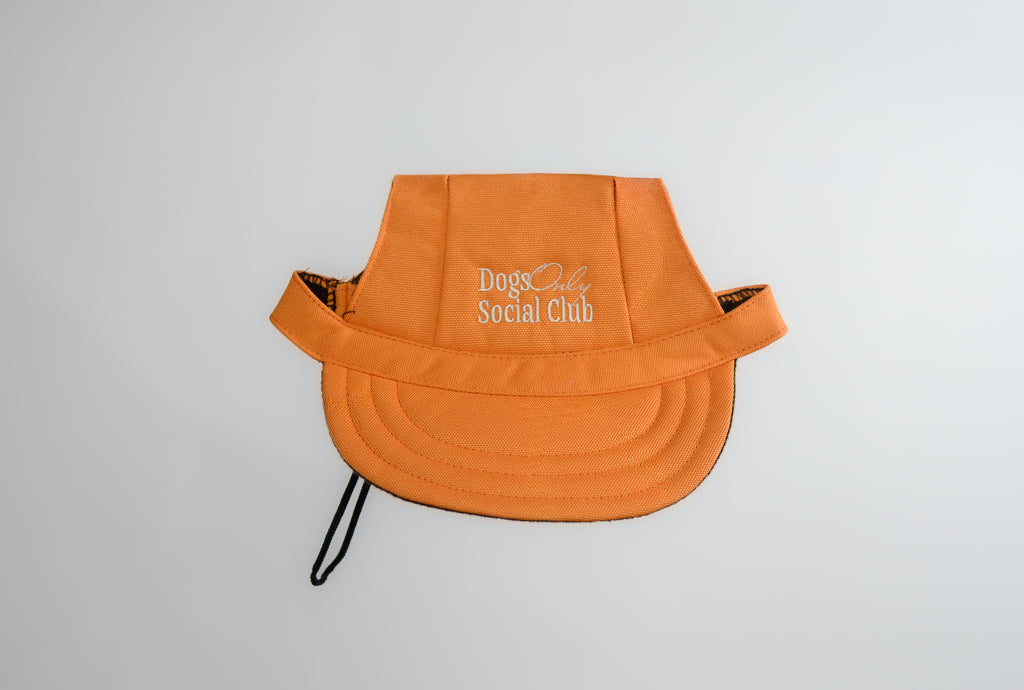 Dogs Only Social Club Pup Hat