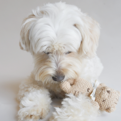 Handmade Crochet Squeaky Toy