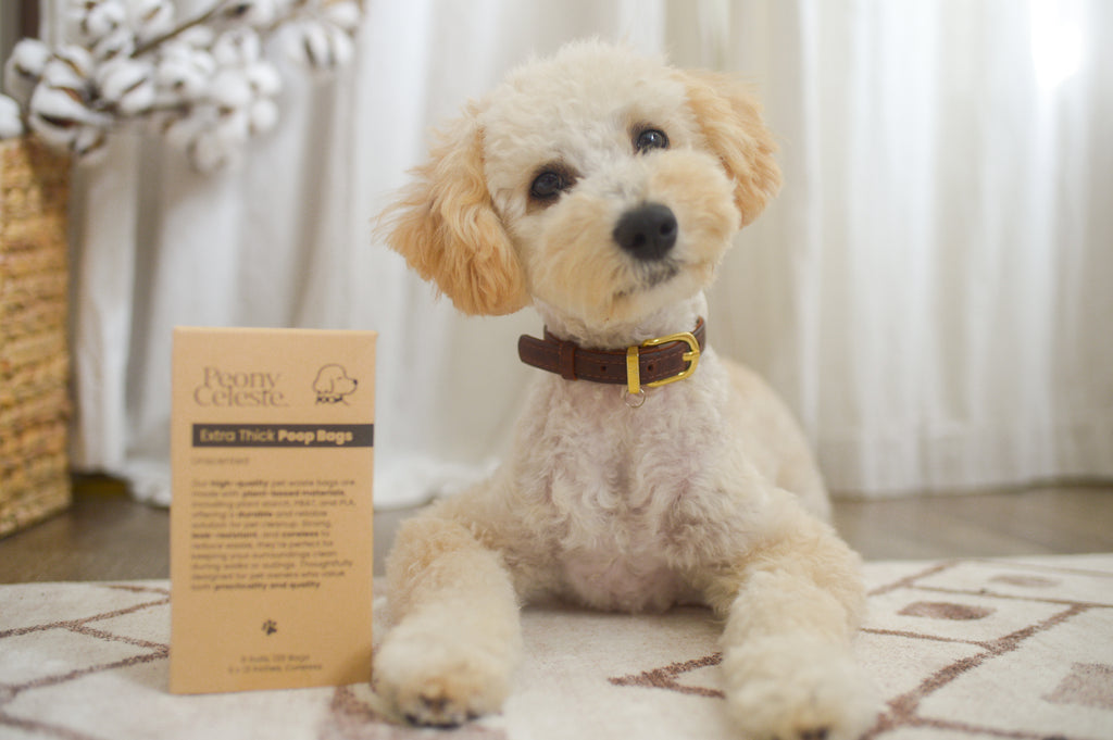 Extra Thick Plant Based Poop Bags by Peony Celeste