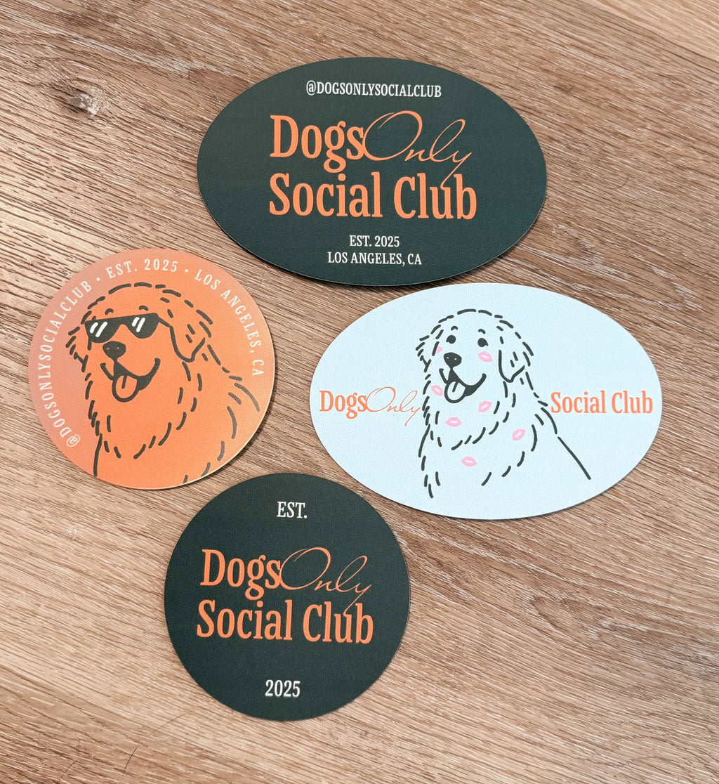 Dogs Only Social Club Car Magnets