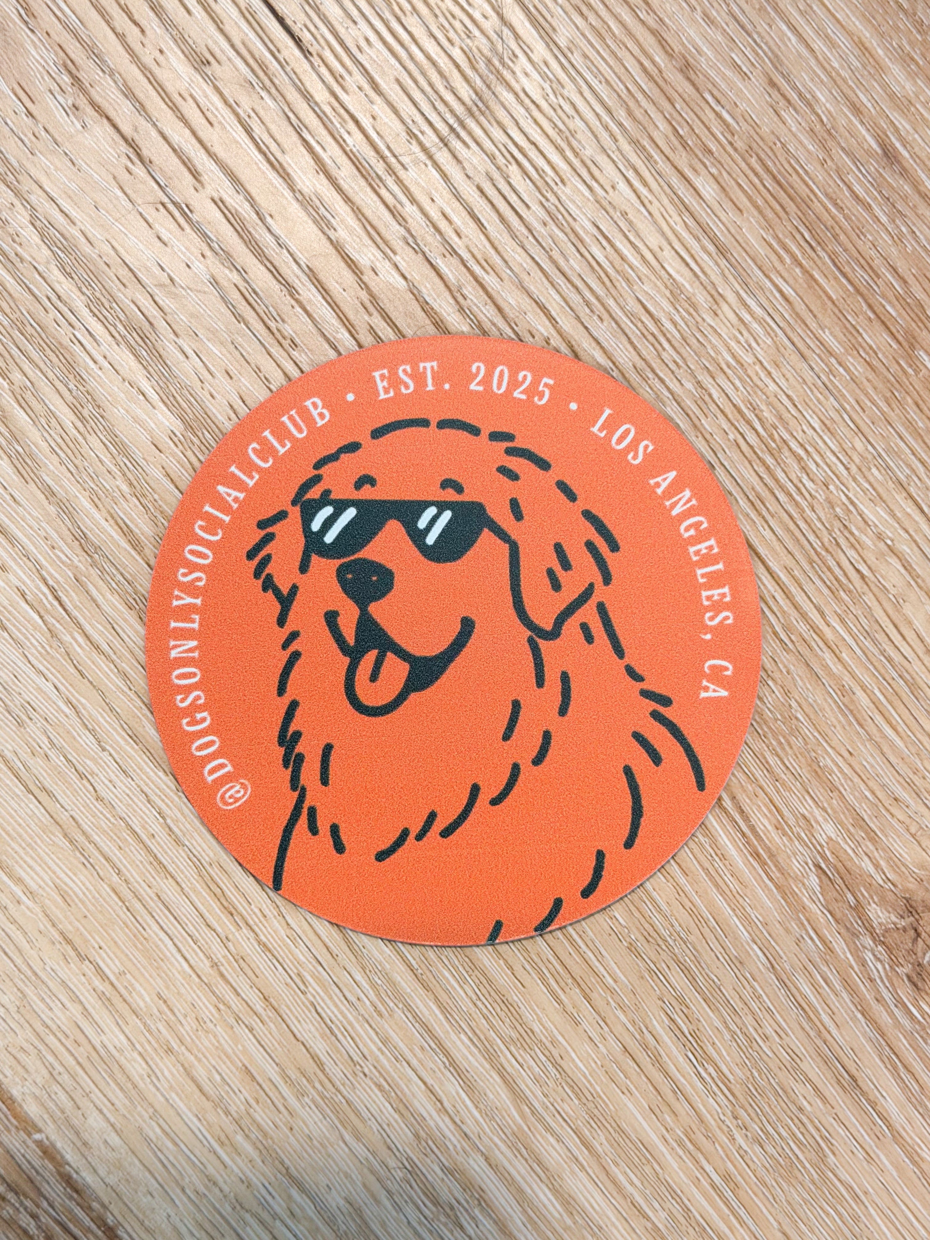 Dogs Only Social Club Car Magnets