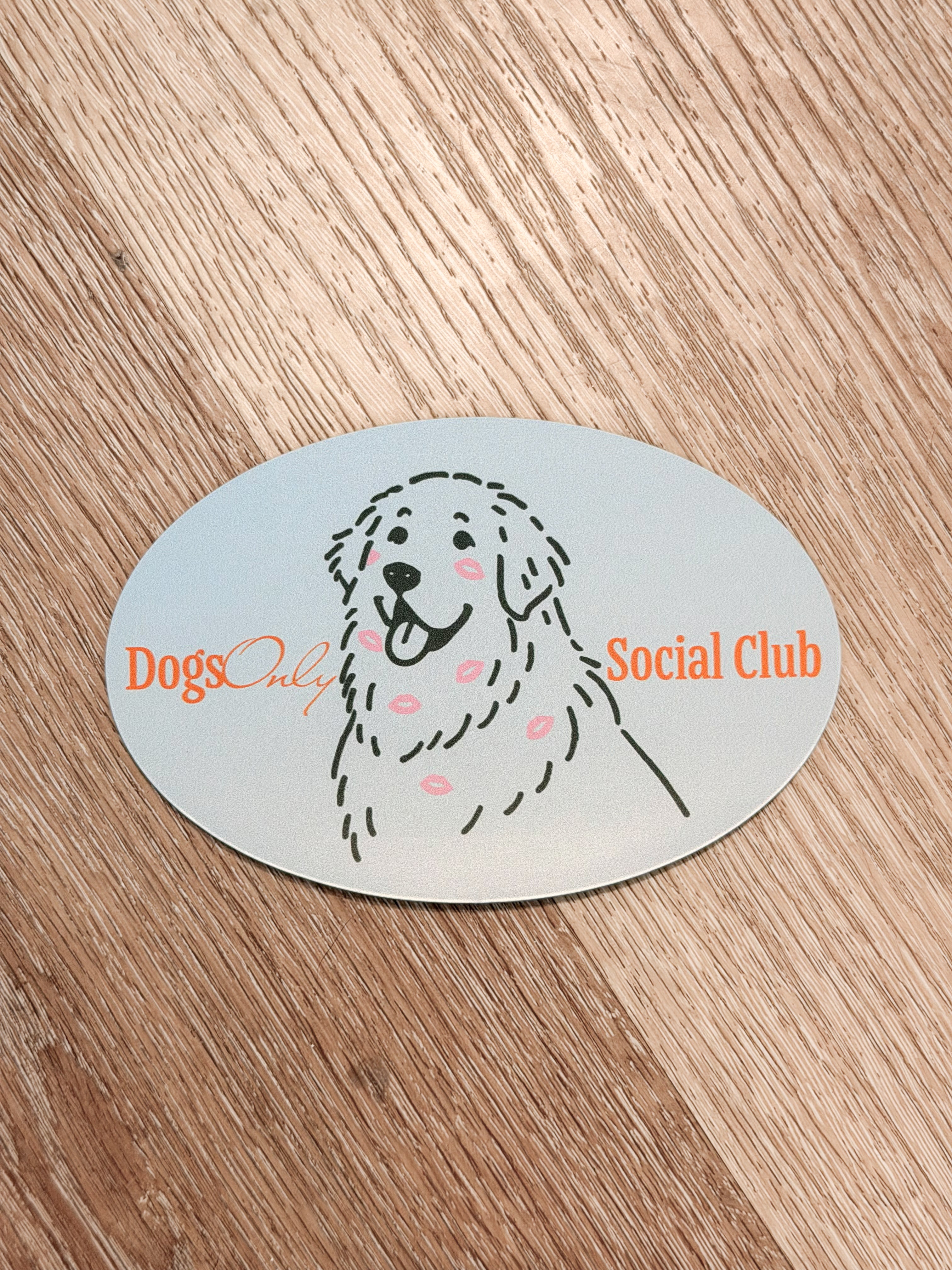 Dogs Only Social Club Car Magnets